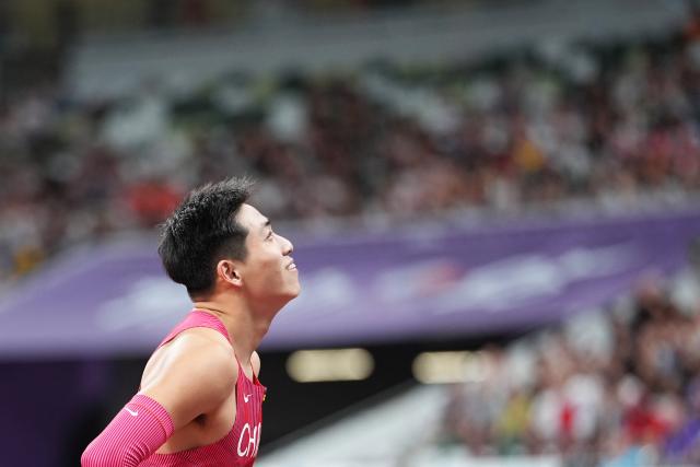 年刘翔, 将无缘决赛 年刘翔, 将无缘决赛