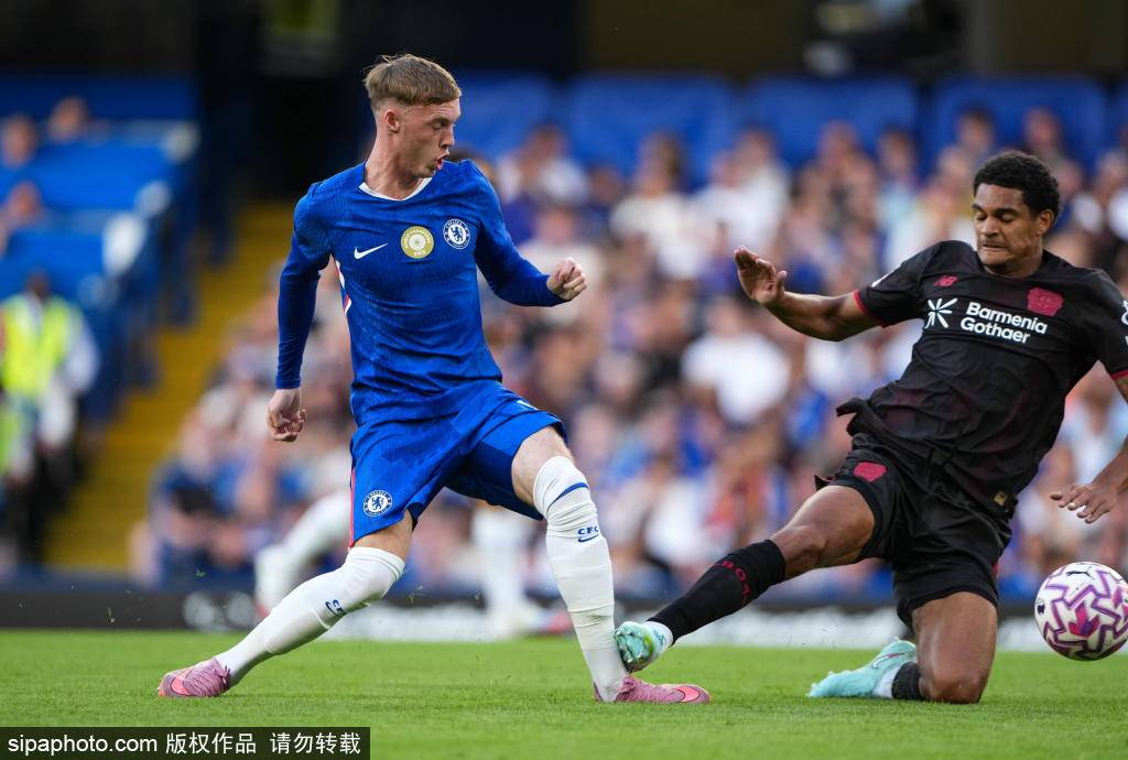 异表现, bb 异表现, bb