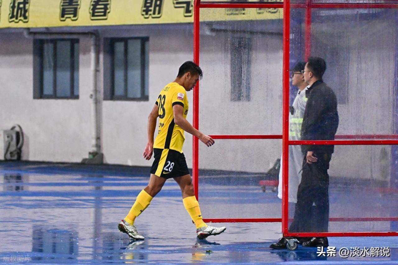 回放显示 回放显示