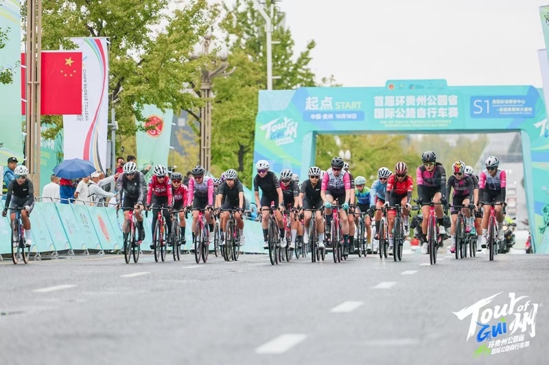 后段以黄果 后段以黄果